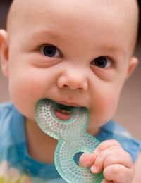 Teething Baby Teeth Pediatric Dentist