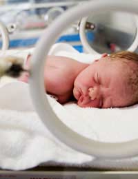 Special Care Baby Unit Babies Neonatal