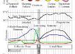 Tracking Your Ovulation