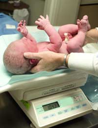 Pregnancy Scan Ultrasound Baby Weight