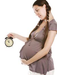 Maternity Pregnant Pregnancy Contract